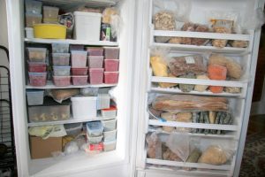 عوامل یخ زدگی مواد غذایی در یخچال ش